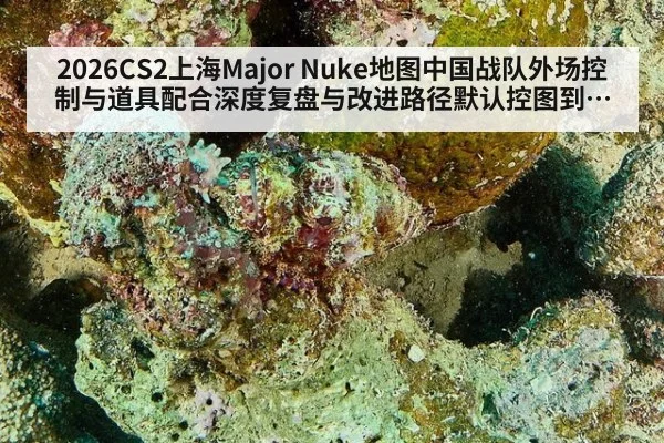 2026CS2上海Major Nuke地图中国战队外场控制与道具配合深度复盘与改进路径默认控图到中期转点 | aitiyu